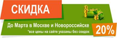 До конца февраля 2024 года действует скидка 20% на все услуги Дезфокс в Москве и Новороссийске